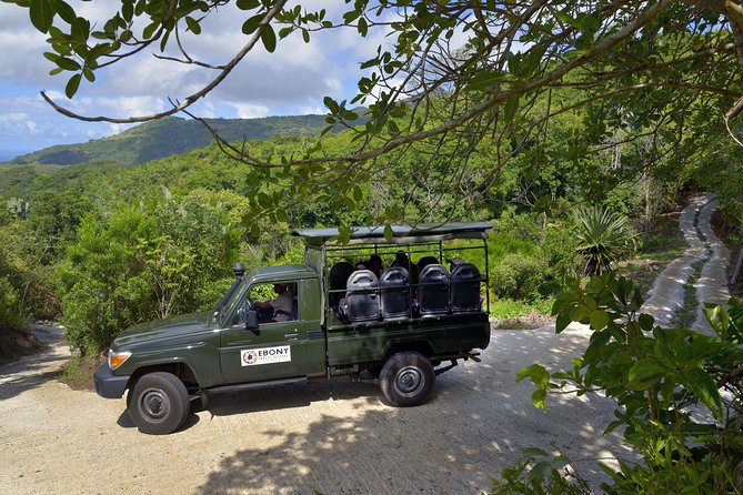 Ebony Forest Reserve Chamarel - Take a Hike Tour - The Ridgeline Trail leads to Sublime Point