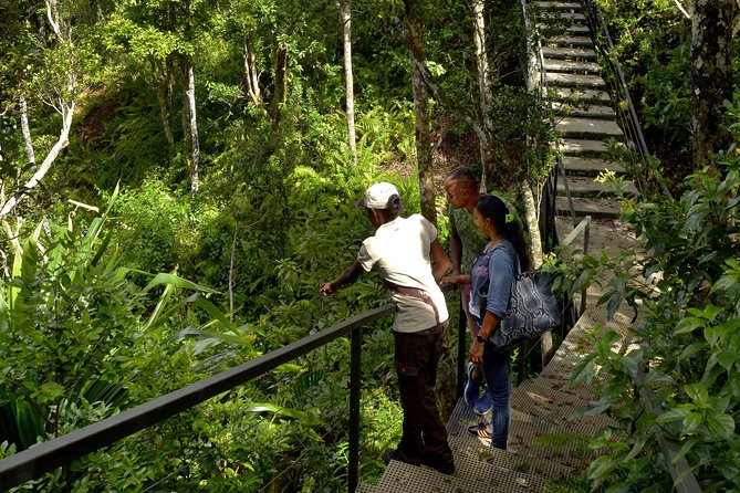 Ebony Forest Reserve Chamarel - Take a Hike Tour - How long should you plan?