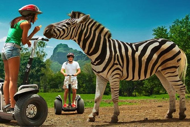 Enchanting South of Mauritius: Full-day tour Incl CASELA Park, Lunch & Transfer - Alexandra Falls and Black River Gorges