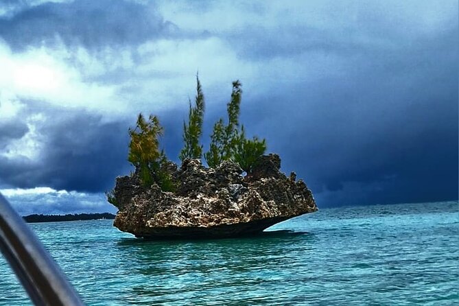 Exciting Dolphin encounters in the Maurtius's lagoon - Key points to know before booking