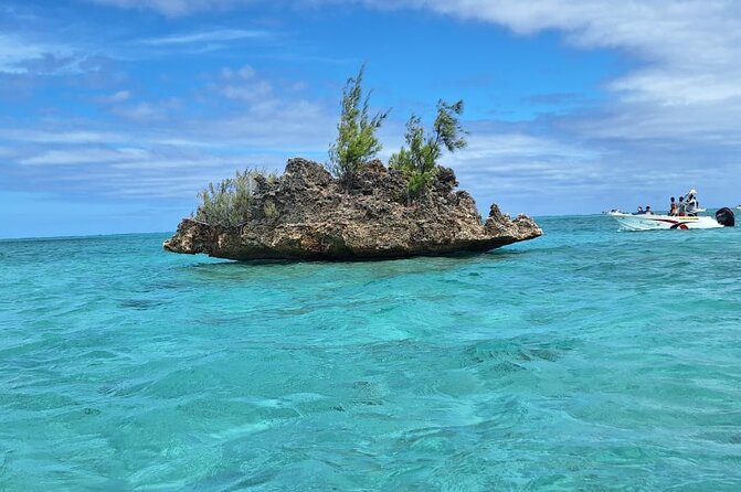 Exciting Dolphin encounters in the Maurtius's lagoon - What the $58.07 price buys you