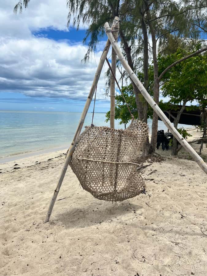 Exclusive:full-day/Dolphins watch& swimming Crystal Rock+Bbq - What $293 per person really buys