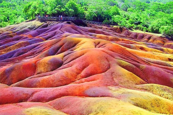 Exotic South: Journey into the Nature (Full-Day Tour incl Lunch & Ebony Forest) - Ebony Forest is the tour’s strongest experience