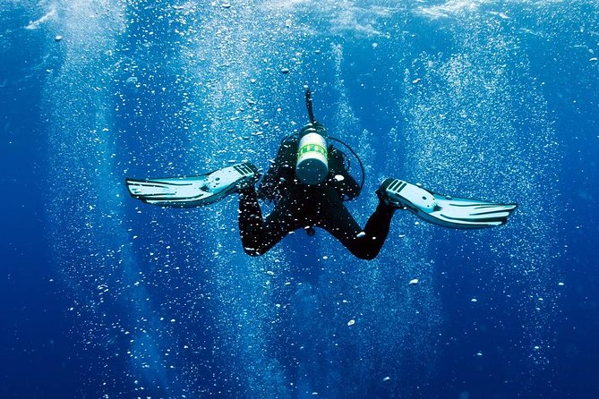Exploration dives - What makes this Mauritius underwater trip appealing