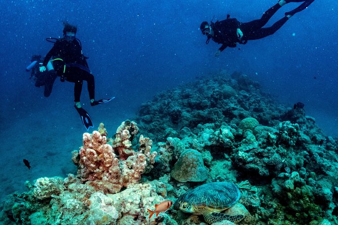 Exploration dives for experienced divers - Key points to know before booking
