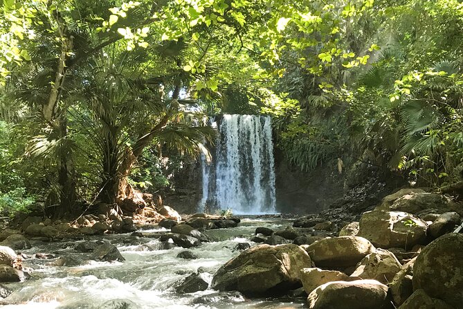 Explore The Wild South - Who should choose this coastal hike?