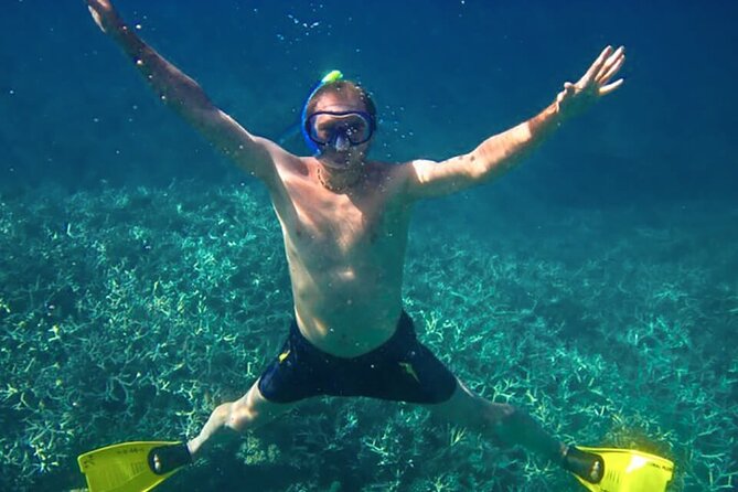 Exploring the Magnificent East of Mauritius: Full-day incl Blue Bay Marine Park - Is $111.28 a fair price?