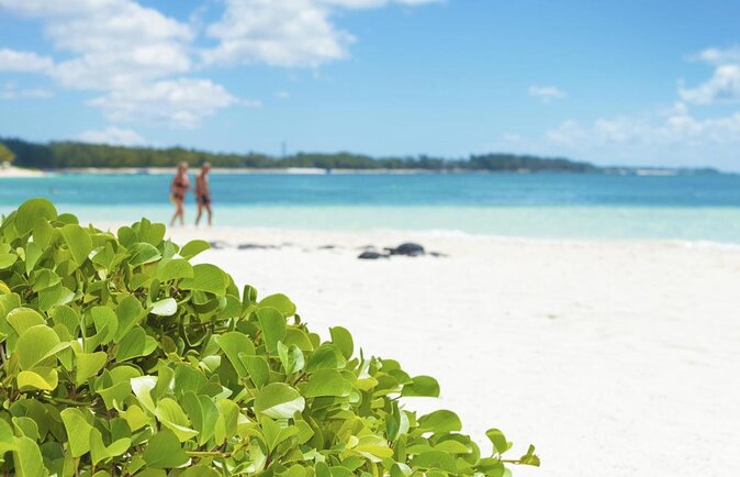 Exploring the Magnificent East of Mauritius: Full-day incl Blue Bay Marine Park - Blue Bay Marine Park and the morning on the water