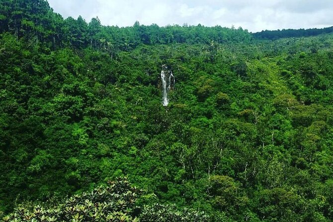Fascinating Nature Tour Incl Ebony Forest, 7 Coloured Earth,Lunch - An early start from your hotel at 7:30 am