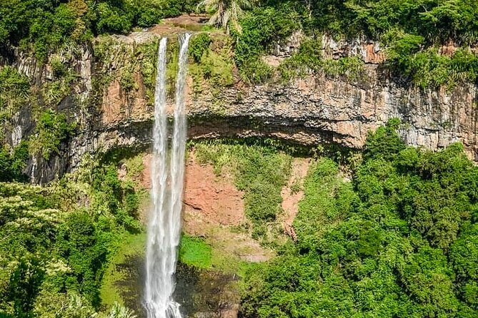 Fascinating Nature Tour Incl Ebony Forest, 7 Coloured Earth,Lunch - Ebony Forest is the day’s most rewarding nature stop
