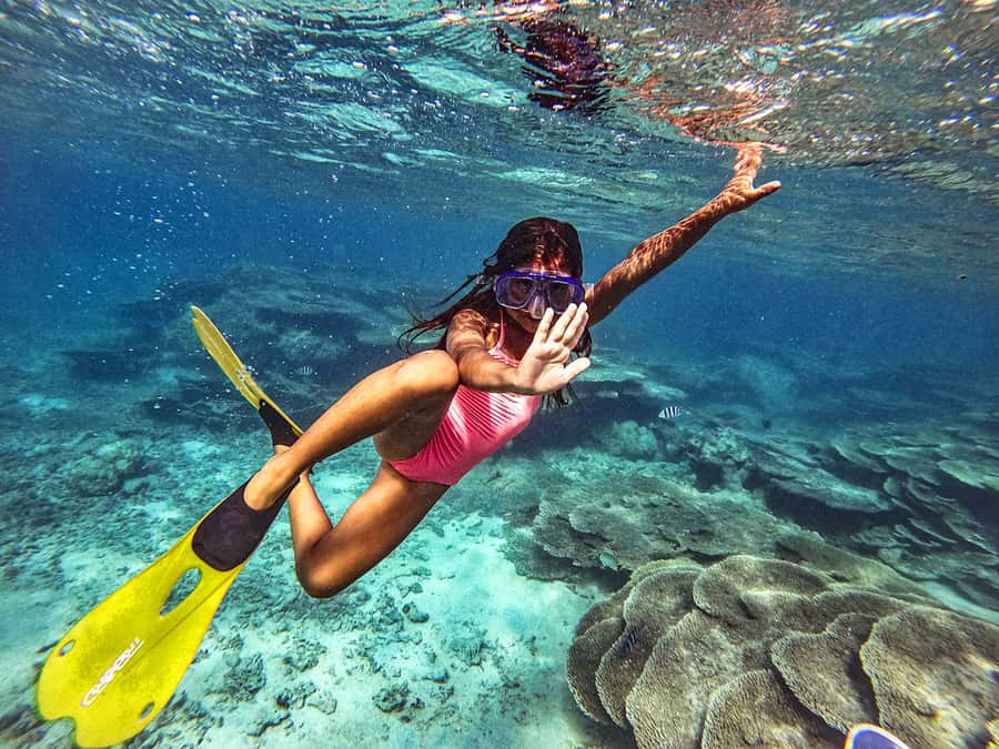 From Blue Bay: Ile aux Cerfs Speedboat Excursion with BBQ - Key points to know before you book