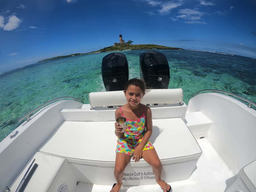 From Blue Bay: Ile aux Cerfs Speedboat Excursion with BBQ - Grand River South East and the waterfall