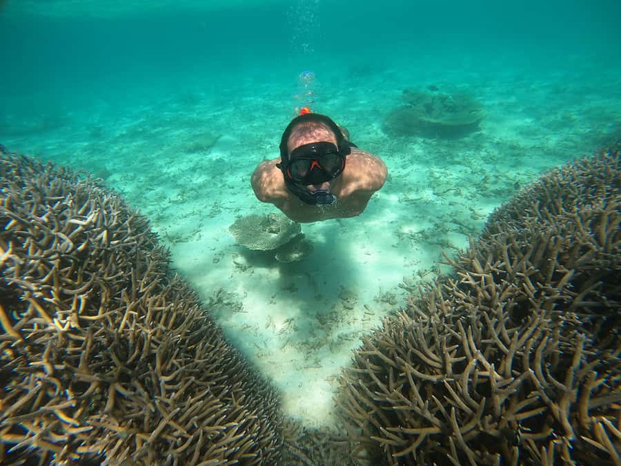 From Blue Bay: Ile aux Cerfs Speedboat Excursion with BBQ - Starting at Blue Bay Public Beach