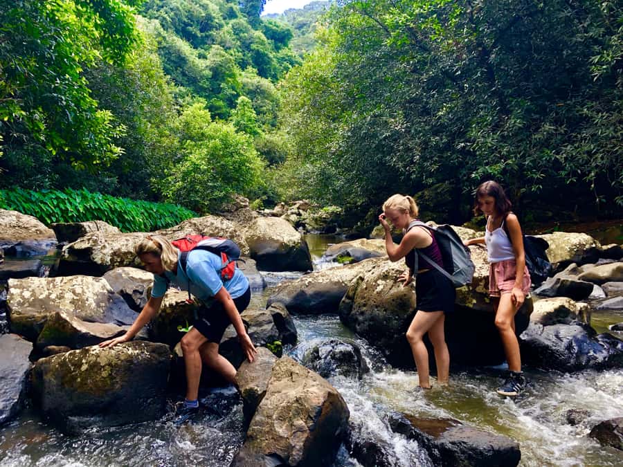 From Chamarel: Waterfall Eco-Hike Adventure - Meeting at Seven Colored Earth Geopark