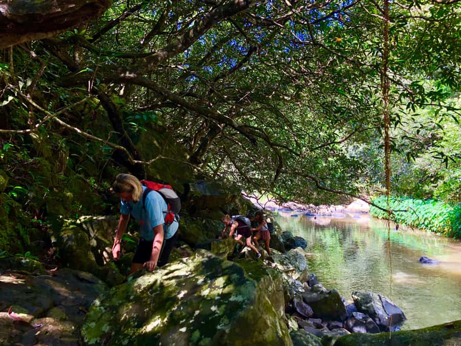 From Chamarel: Waterfall Eco-Hike Adventure - What to pack for the river and waterfall