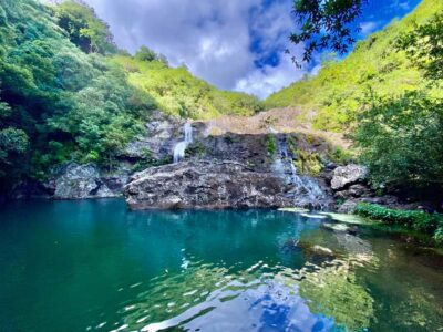 From Quatre Cocos: Tamarind Falls Hiking Day Trip