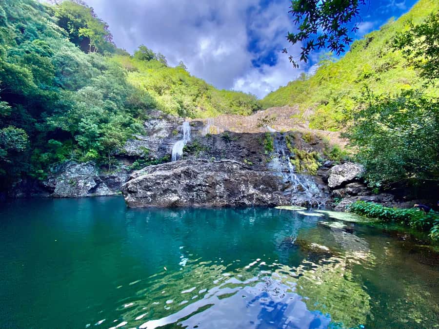 From Quatre Cocos: Tamarind Falls Hiking Day Trip - Waterfalls, forest paths, and the real level of effort