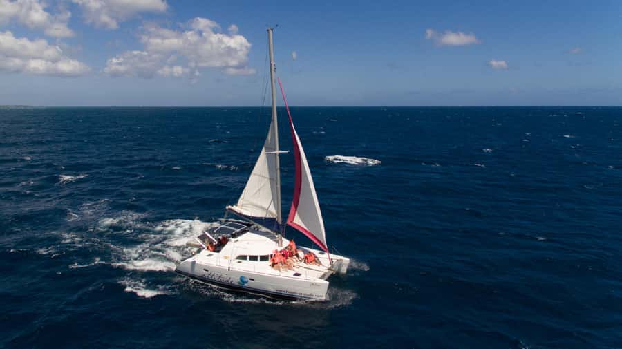Full Day Catamaran Luxury Cruise to Northern Islands w Lunch - Key points to know before booking