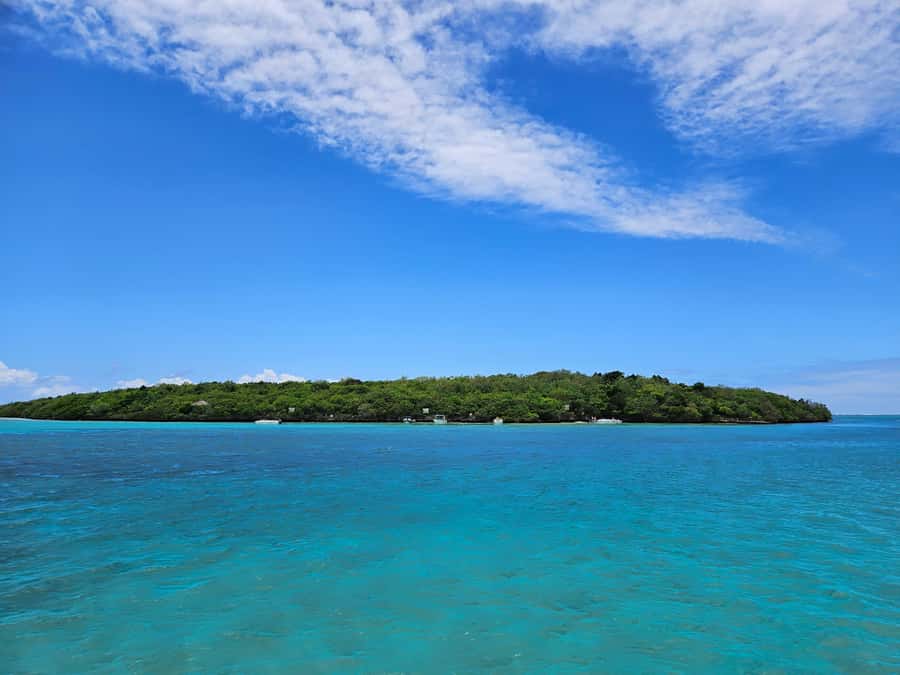FULL-DAY CATASPEED - East Lagoon cruise including transfer. - Island one: Ile aux Flamants and the start of the lagoon route