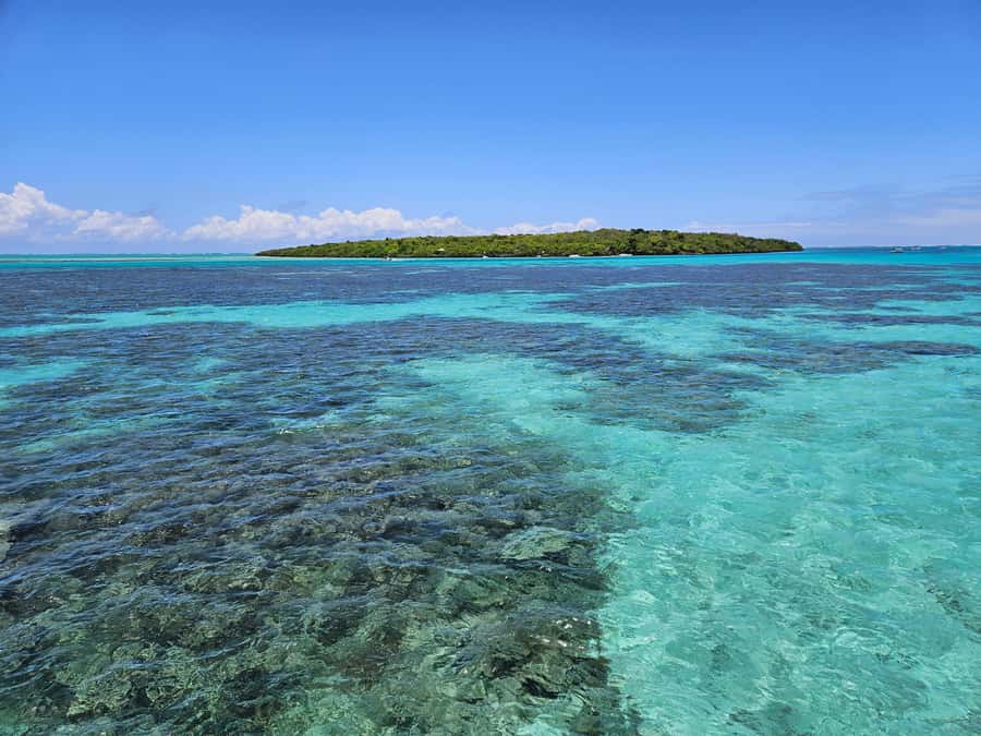 FULL-DAY CATASPEED - East Lagoon cruise including transfer. - Snorkeling at the Aquarium