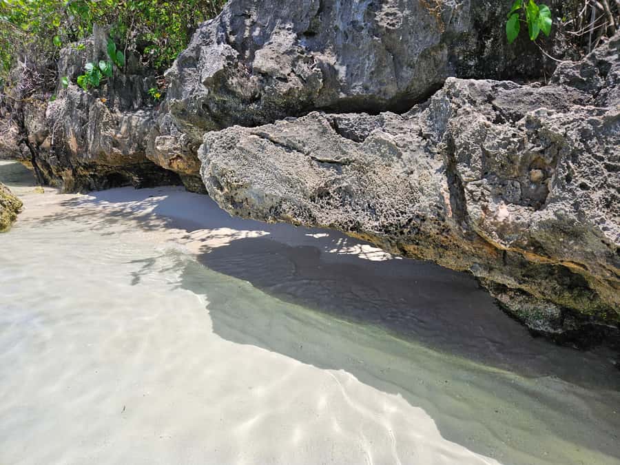 FULL-DAY CATASPEED - East Lagoon cruise including transfer. - Ile aux Margenie turns lunch into part of the outing