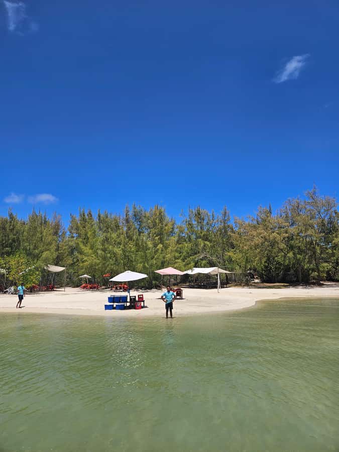 FULL-DAY CATASPEED - East Lagoon cruise including transfer. - Grand River South East Waterfall and its wild visitors