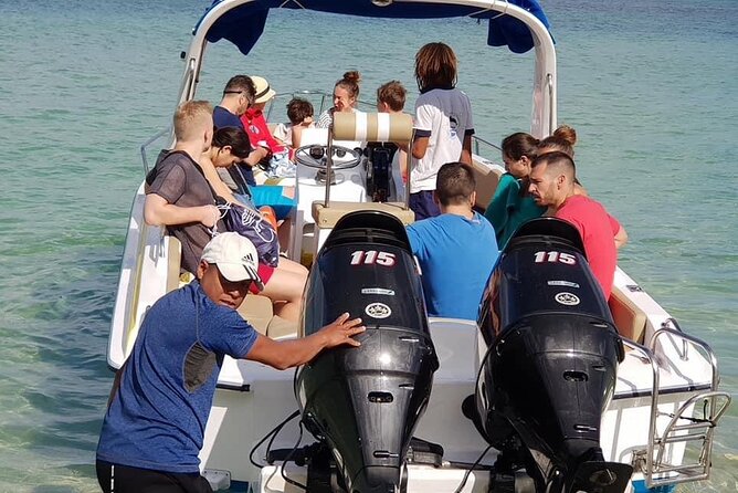 Full-Day Dolphin Watching Cruise in Mauritius - Is $132.46 a fair price?