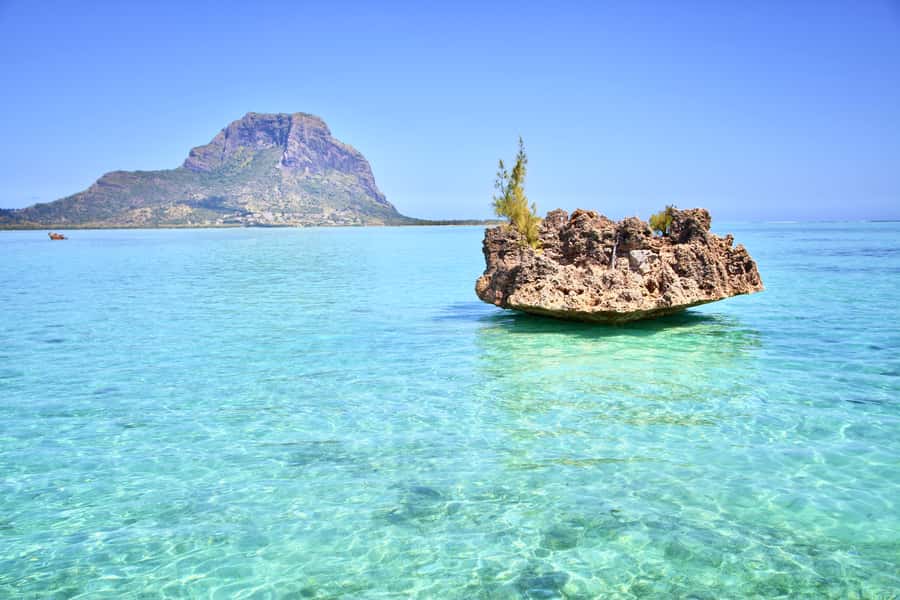 Full Day Dolphins Watching Ile aux Benitiers & Crystal Rock - Crystal Rock snorkeling and what to expect