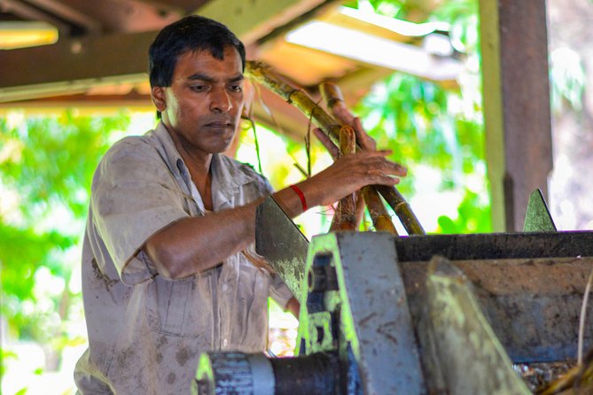 Full Day Guided Tea Route Mauritius: Including Lunch - Why this tea route is worth your day