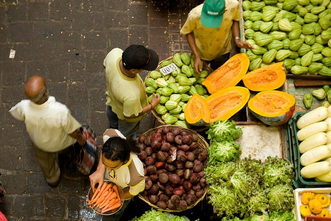 Full Day North Private Guided Tour Mauritius: including lunch - What the private format adds