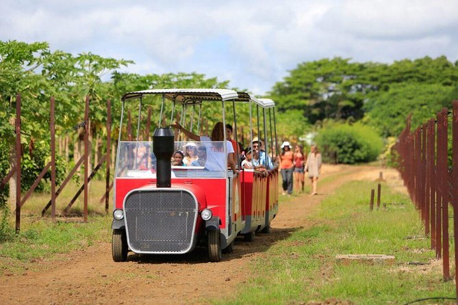 Full-Day North Tour of Mauritius, ALL INCLUSIVE Day Trip, Private SUV Car, Guide - Grand Baie combines shopping and free time