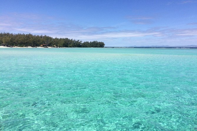 Full-Day Northern Catamaran Cruise: Coin de Mire and Ile Plate Island - Swimming and snorkeling near Coin de Mire