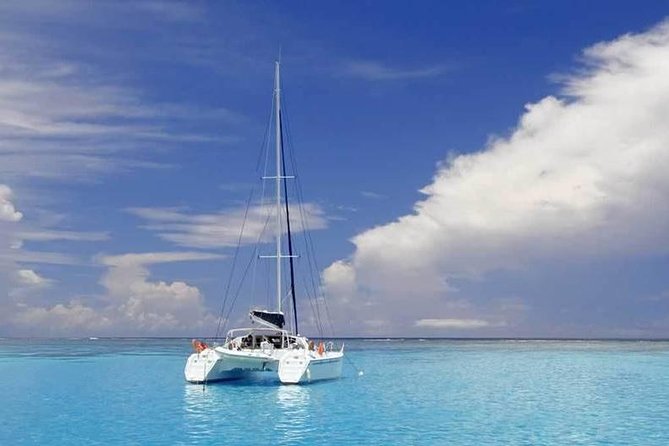 Full-Day Northern Catamaran Cruise: Coin de Mire and Ile Plate Island - How much value does the $111.54 price offer?