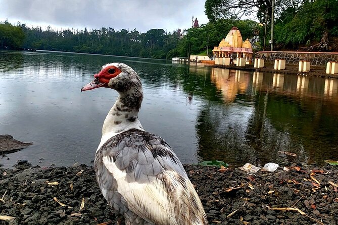 Full Day Private car only Guided SOUTH WEST of Mauritius - Reservoir roads show Mauritius between the landmarks