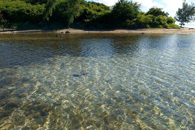 Full-Day Private Hiking le Morne Mountain & Seafood Lunch at Islet Fourneau - Why this day works better than a simple mountain visit