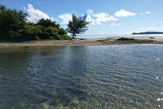 Full-Day Private Hiking le Morne Mountain & Seafood Lunch at Islet Fourneau - Private service, photography, and the price
