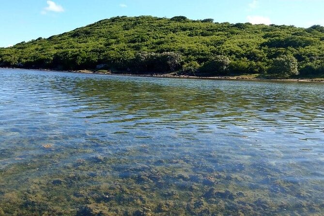 Full-Day Private Hiking le Morne Mountain & Seafood Lunch at Islet Fourneau - The lower Le Morne trail: broad, green, and manageable