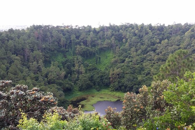 Full Day Private Tour in South of Mauritius - Alexandra Falls and Black River Gorges