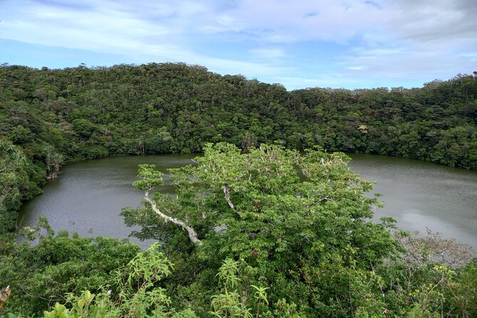 Full Day Private Tour in South of Mauritius - Grand Bassin and the sacred lake