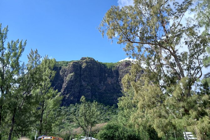 Full Day Private Tour in South of Mauritius - Curepipe and Floreal: the practical side of the island