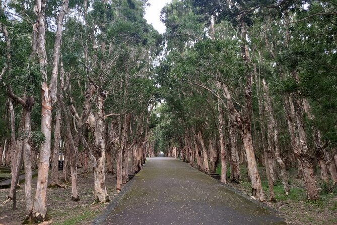 Full Day Private Tour in South of Mauritius - Trou aux Cerfs and the volcanic view