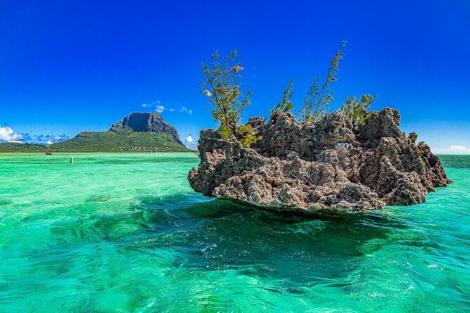 Full day Shared Speedboat Tour - South West Lagoon Dolphin Swim - Who will enjoy this day most