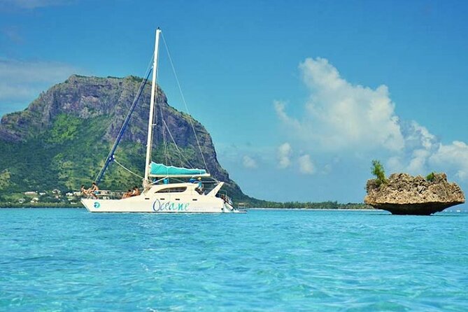 Full day Shared Speedboat Tour - South West Lagoon Dolphin Swim - Should you book the South West lagoon dolphin tour?