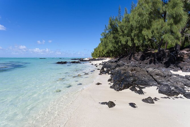 Full Day Shared Tour Catamaran to Ile Aux Cerfs - Three-course barbecue lunch with unlimited drinks
