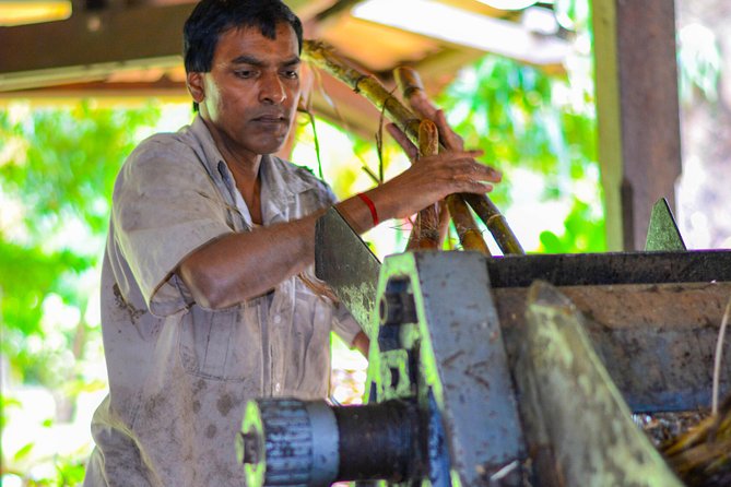 Full-Day South Tour of Mauritius, ALL INCLUSIVE Day Trip, Private SUV Car, Guide - Saint Aubin, sugar cane, and Mauritian rum