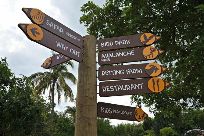 Full-Day Swimming with Dolphins and Casela Nature Park Tour in Mauritius - Transport is the quiet strength of the day