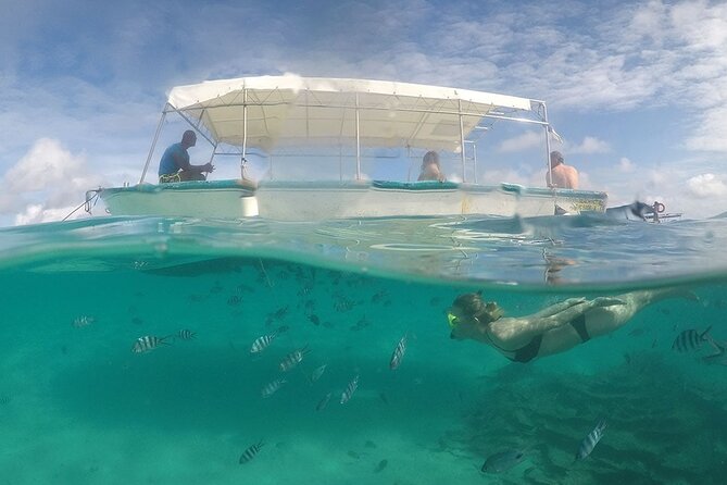 Full Day Tour 5 Island to Ile Aux Cerfs Incl. Lunch and Transfer - Ile aux Phare and Ile de la Passe