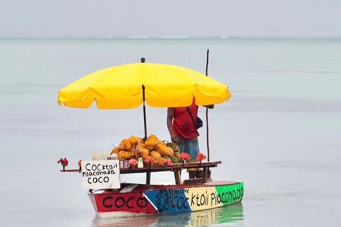 Fully Day Tour: Dolphin Encounters, Crystal Rock at Benitiers Island - Benitier Islet and the three-course BBQ