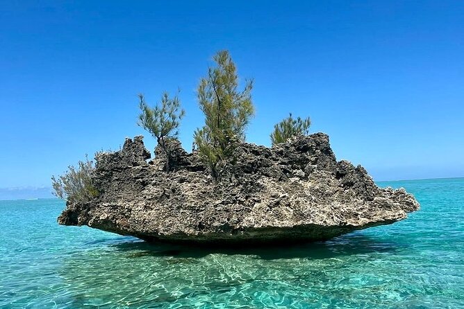 Fully Day Tour: Dolphin Encounters, Crystal Rock at Benitiers Island - What the $107.24 price really covers