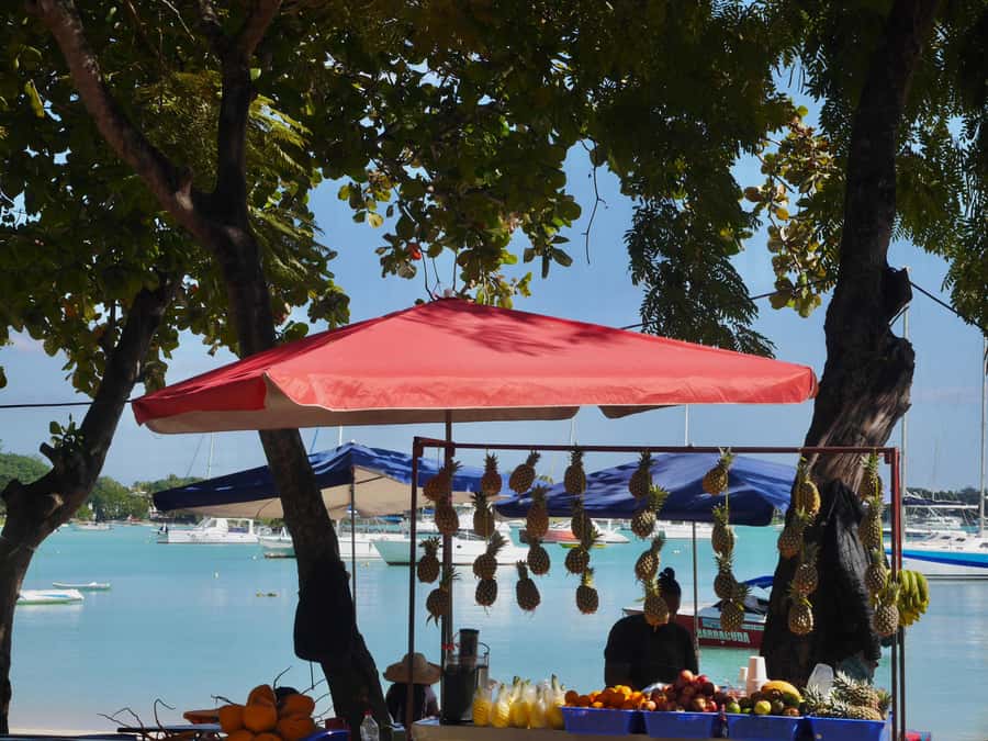 Grand Baie: Coastal Cuisine & Culture Walking Tour - The First Bites: Street Food and Réunion Flavours